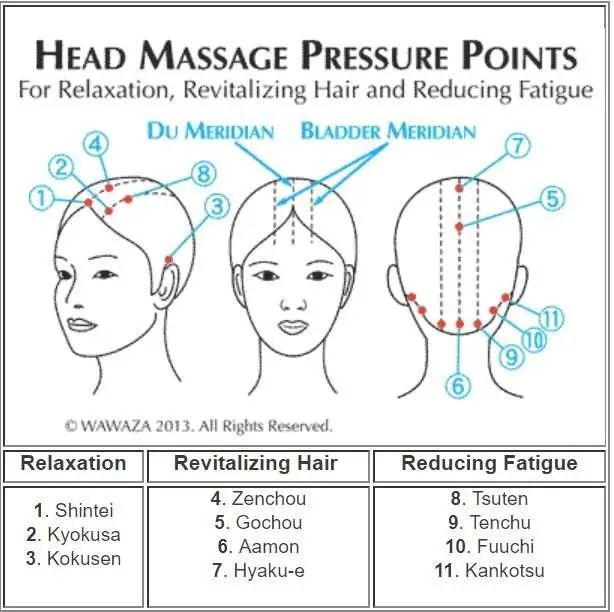 Acupressure points for hair growth and grey hair