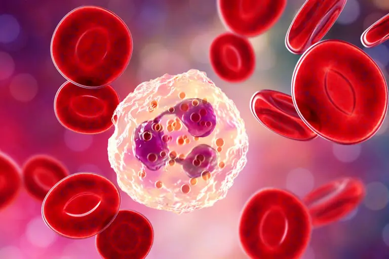 Could COVID-19 Affect the Way Red Blood Cells Transport Oxygen?