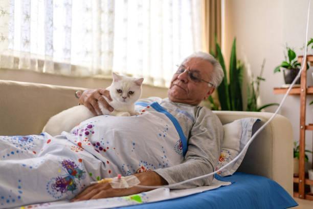 Male patient lying in bed, cuddling cat Male patient lying in bed, cuddling cat adult diaper stock pictures, royalty-free photos & images