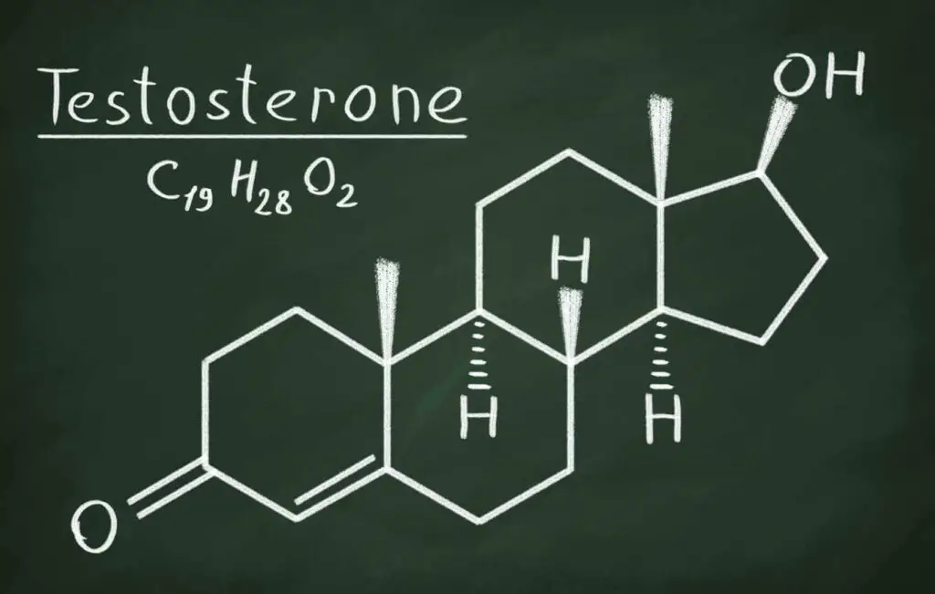Decreasing testosterone
